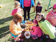 Sklízíme úrodu na zahrádce